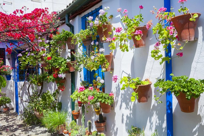 Cordoba's Authentic Patios: 2-Hour Tour with Tickets - Patios as a window into real Córdoba, not just scenery