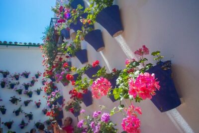 Cordoba’s Authentic Patios: 2-Hour Tour with Tickets