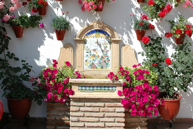 Cordoba's Authentic Patios: 2-Hour Tour with Tickets - What makes this tour worth $21.69: value beyond the flowers