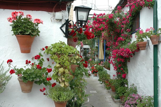 Cordoba's Authentic Patios: 2-Hour Tour with Tickets - The group size, crowds, and heat reality check