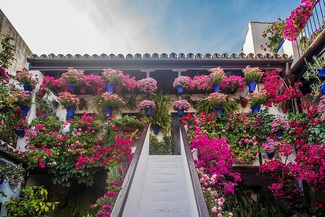 Cordoba's Authentic Patios: 2-Hour Tour with Tickets - Guides make or break the experience