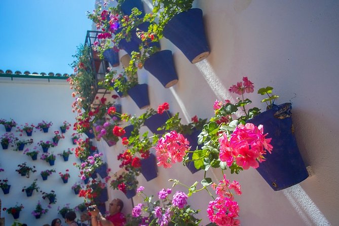 Cordoba's Authentic Patios: 2-Hour Tour with Tickets - Where the Tour Starts (and How to Find Your People Fast)