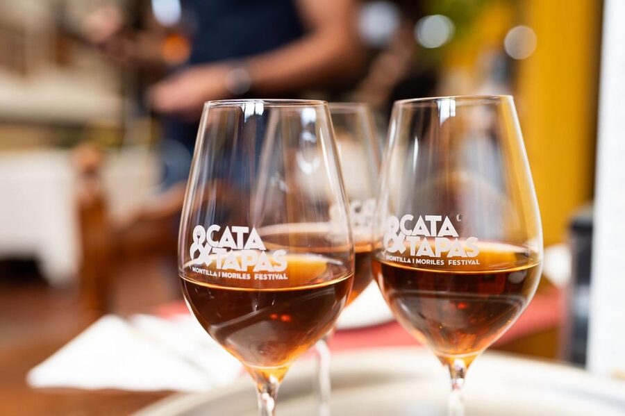 Cordoba: Tapas Bars Tour With Local Guide - Why Cordoba’s tapas scene works so well with wine