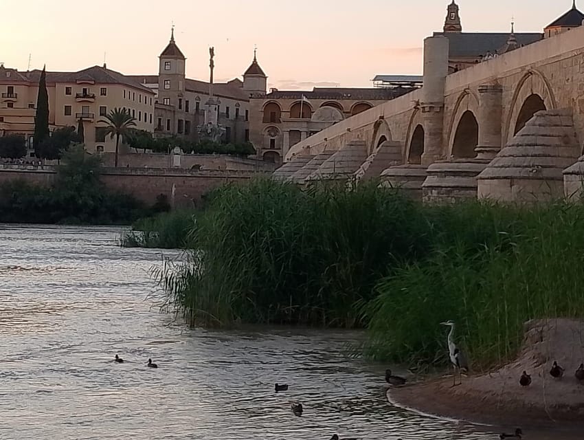 Córdoba: Tour of the three cultures to see the city in a day - Key things I’d pay attention to