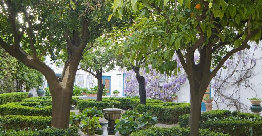 Córdoba: Viana Palace Gardens and Patios Entry Ticket - Why Viana Palace patios feel like a secret garden in Córdoba