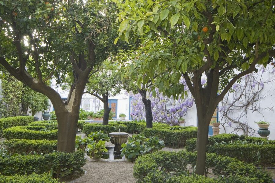 Córdoba: Viana Palace Gardens and Patios Entry Ticket - What your entry ticket includes, and what it leaves out