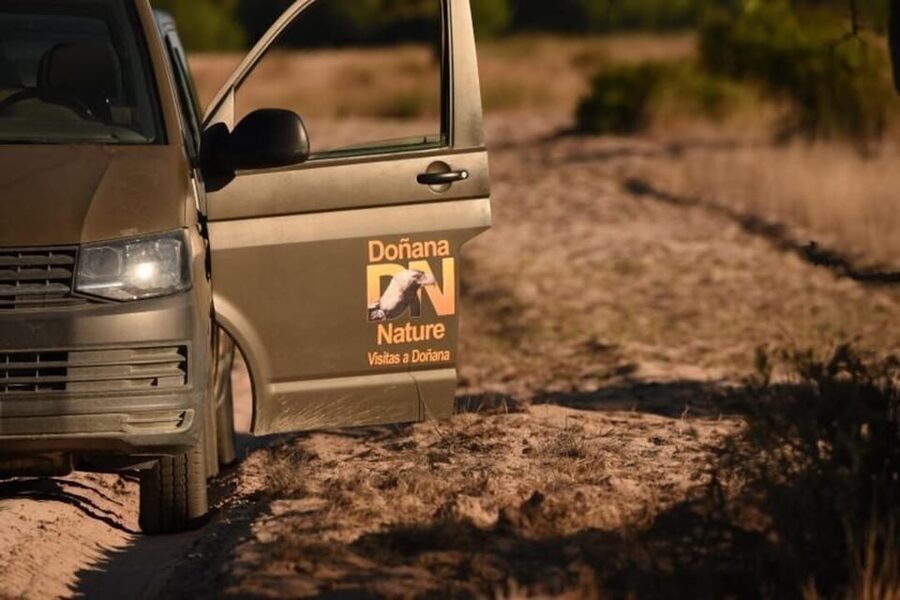 Discover Doñana & Iberian Lynx: Premium Nature Tour - Should you book it?