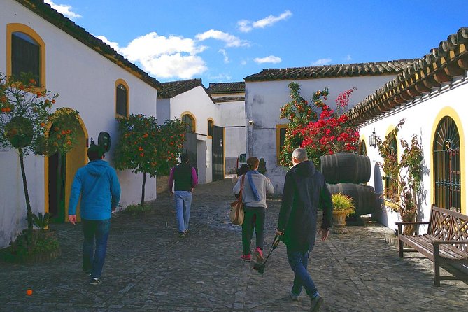 Discover Sherry in Jerez - From Plaza de la Asunción to the Bodega, a Walk With Meaning