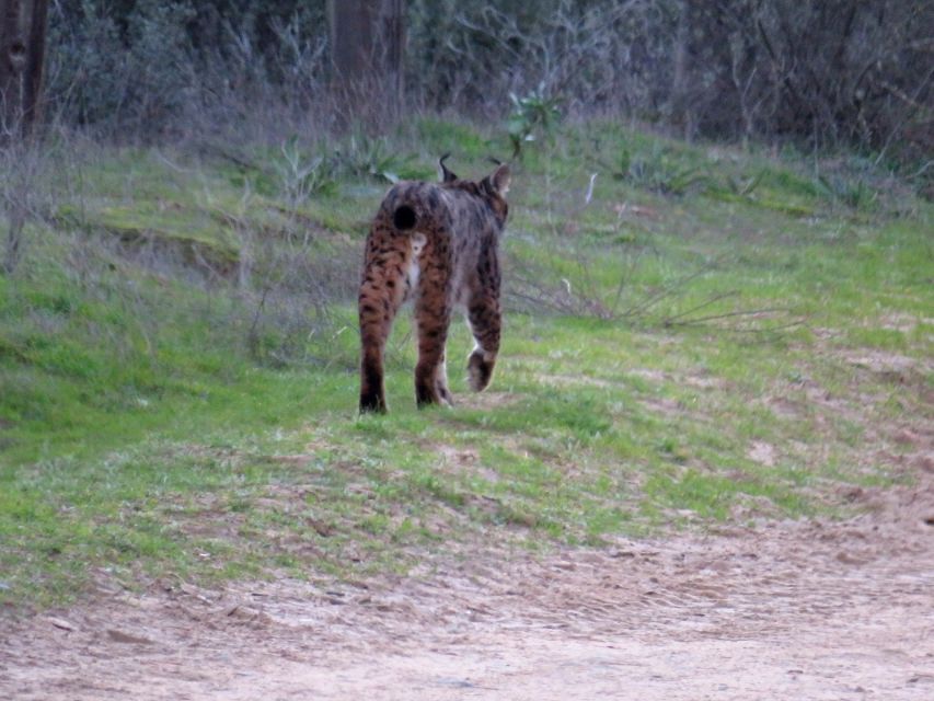 Doñana National Park: 2-Day Tour from Seville - Where You Sleep: Rural Accommodation at the Park’s Edge