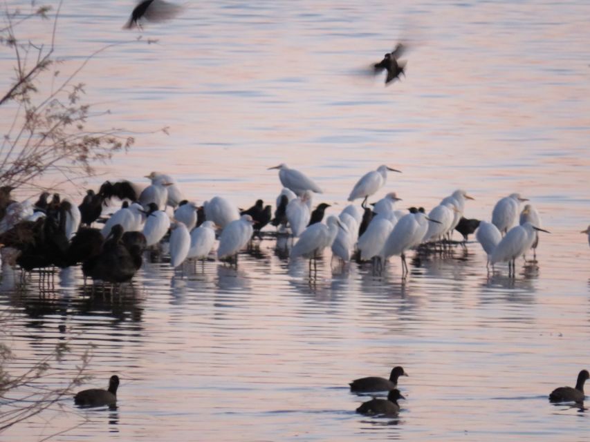 Doñana National Park: 2-Day Tour from Seville - Day 2 Starts at El Acebuche Visitor Center