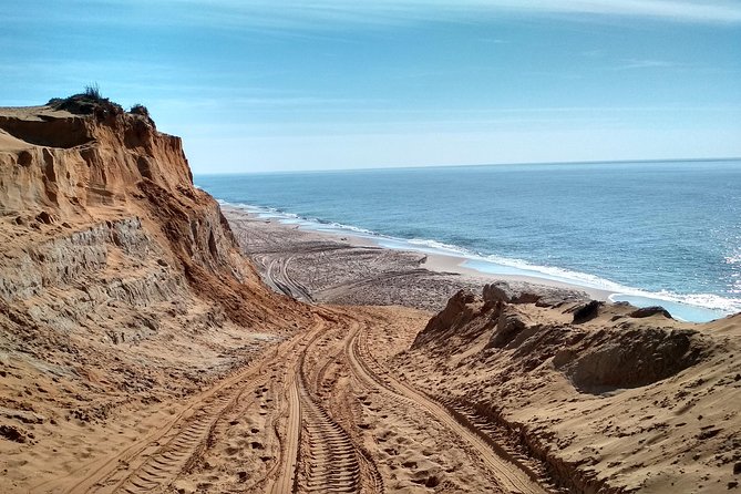 Donana National Park and El Rocío: Guided Tour from Seville - Dehesa de Abajo: storks, ancient trees, and real bird spotting