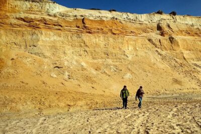 Donana National Park and El Rocío: Guided Tour from Seville