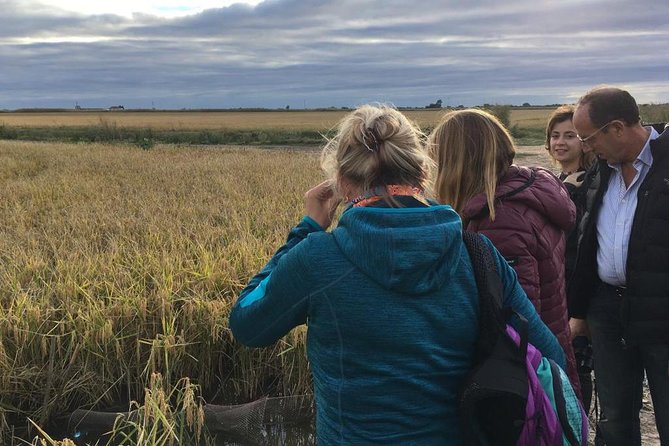 Donana National Park and El Rocío: Guided Tour from Seville - Palacio del Acebrón and the La Rocina area: why this stretch matters