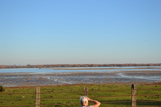 Donana National Park and El Rocío: Guided Tour from Seville - Lunch time: expect it to be a personal choice
