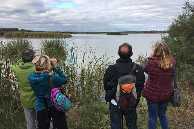 Donana National Park and El Rocío: Guided Tour from Seville - Playa de Matalascanas: dunes and the Atlantic feel