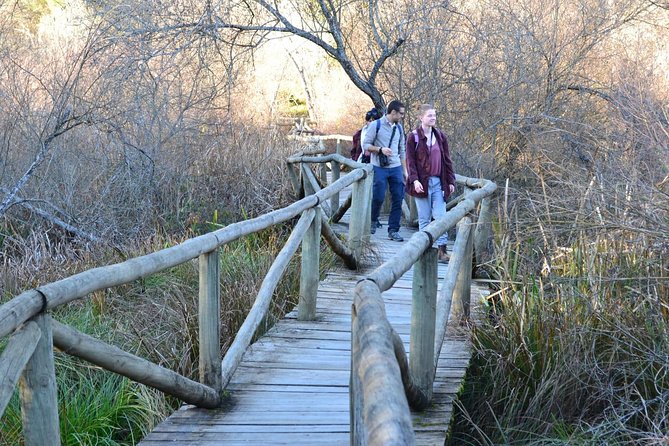 Donana National Park: Guided Day Tour from Seville - Birds, mammals, and what to expect without setting yourself up for disappointment
