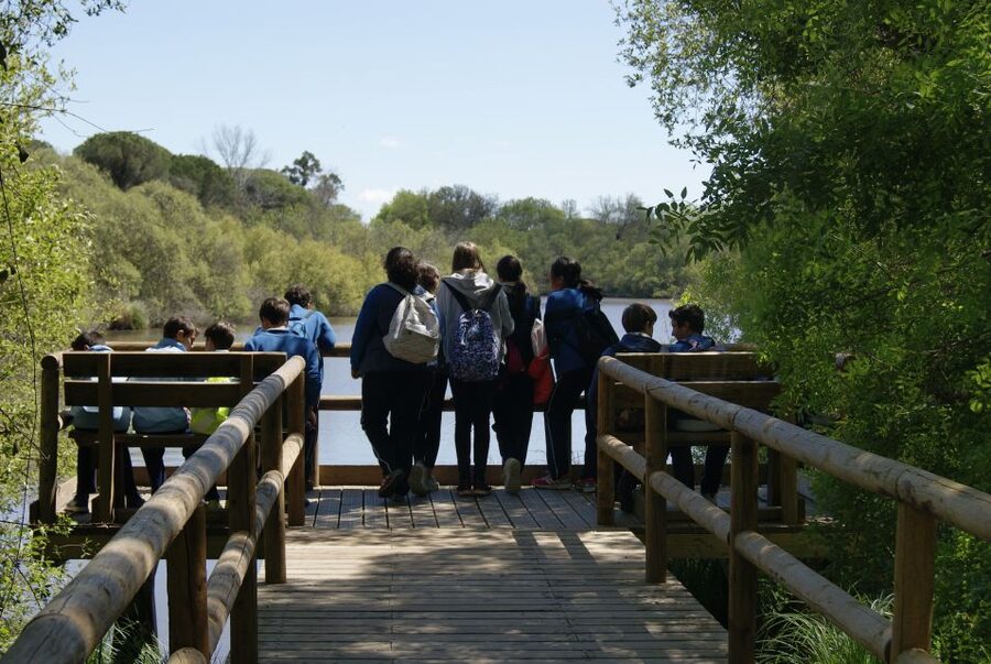Doñana National Park Off-Road Tour from Seville - Key things I’d plan around