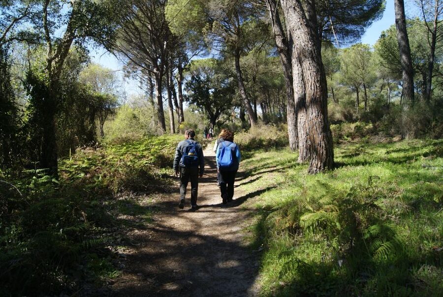 Doñana National Park Off-Road Tour from Seville - Doñana by 4WD from Seville, without the tourist crush