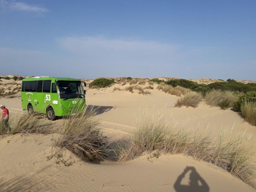 Doñana National Park Off-Road Tour from Seville - The longest beach stop in Spain: a calm end to an intense nature day