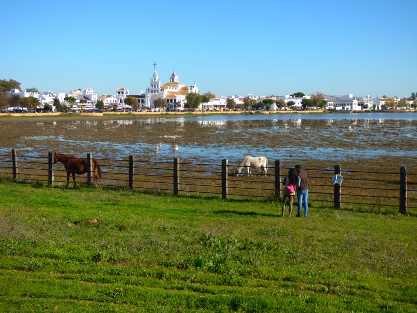 Doñana National Park Off-Road Tour from Seville - The road to El Rocío and why this pilgrimage town works as a halfway point