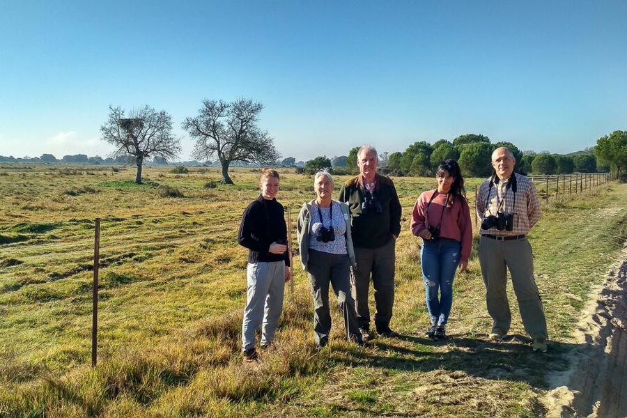 El Rocío: Doñana National Park 4x4 Guided Tour - Coto del Rey, Matasgordas, and Hinojos: what each ecosystem adds to the day