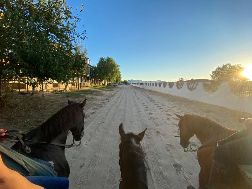 El Rocío: Doñana National Park Horseback Riding Tour - Along the seashore and into the dunes for sea views