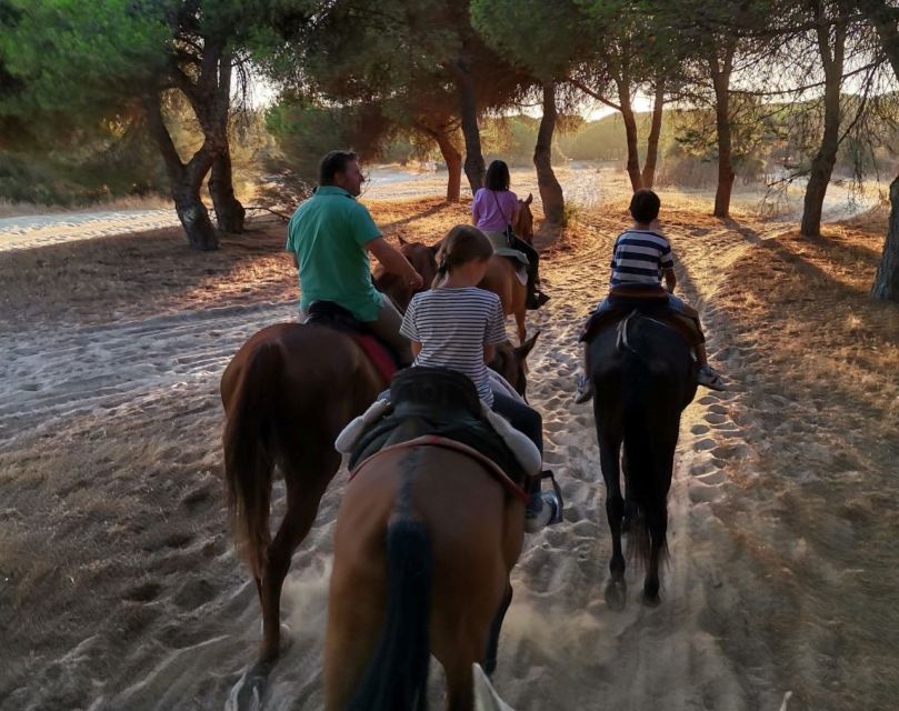 El Rocío: Doñana National Park Horseback Riding Tour - Price and value at $51 per person