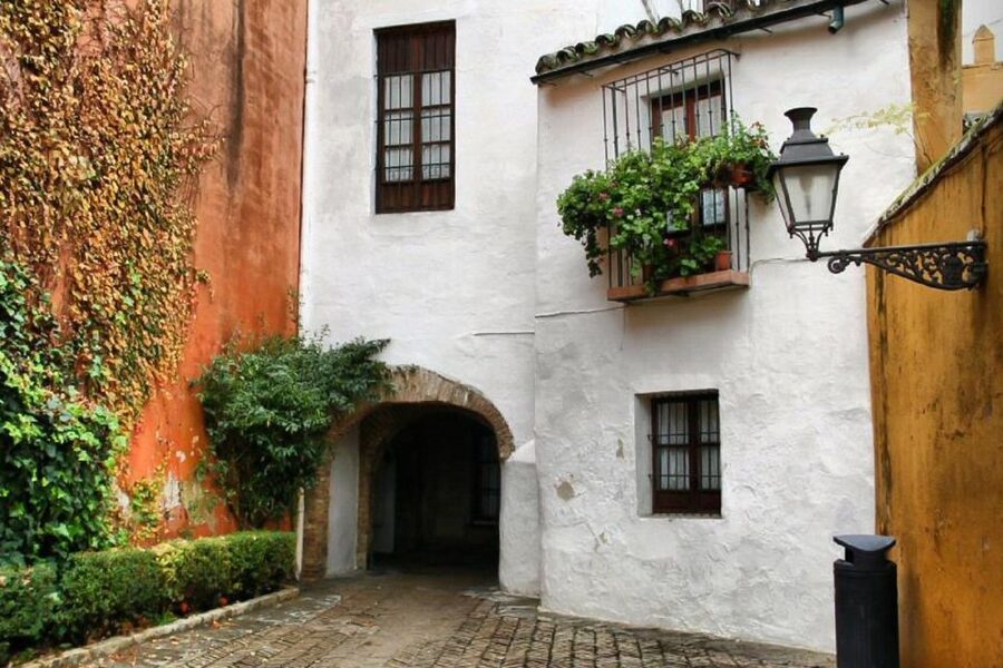 Enchanted Seville: Private Walking Tour - What to bring, and how to make the evening comfortable