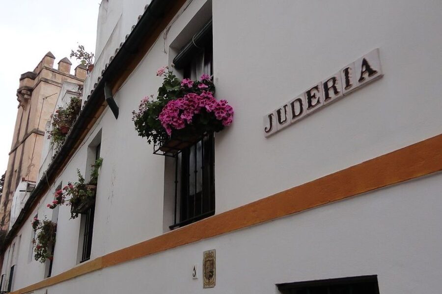 Enchanted Seville Walking Tour - Key things you will notice on this Enchanted Seville walk