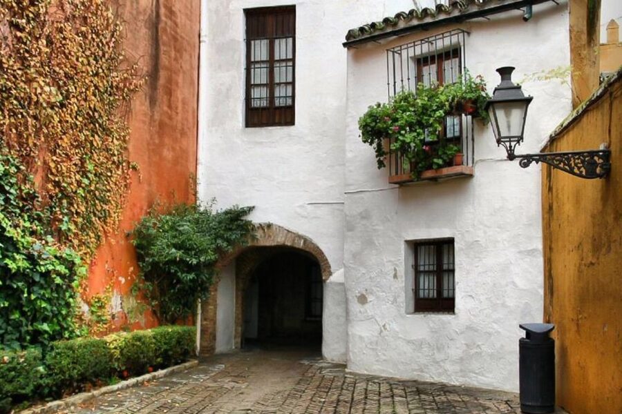 Enchanted Seville Walking Tour - Calle Mármoles Roman columns and Cabeza del Rey Don Pedro