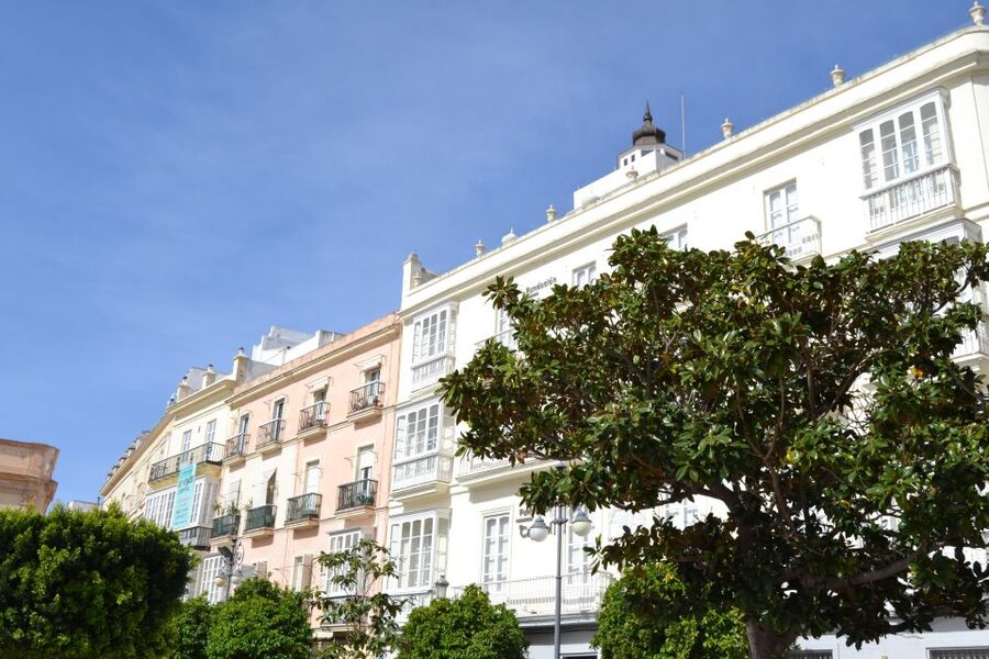 English Cádiz Tour: Walking Tour with Local Guide - Price and Value: Why $15 for 2 Hours Works in Cádiz