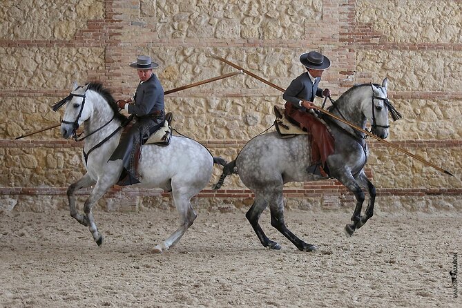 Equestrian Show Royal Stables of Córdoba - Seating and arrival tips: how to avoid the common disappointments