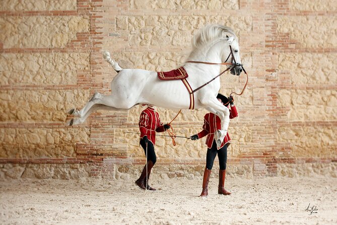 Equestrian Show Royal Stables of Córdoba - The 1 hour 10 minutes program, and what you’ll actually see