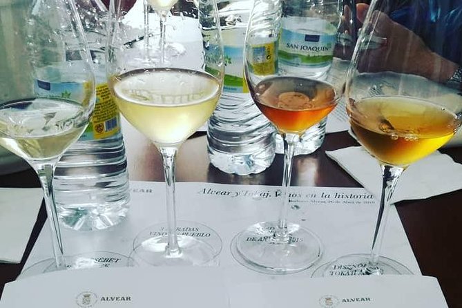 Evening Wine Tasting Córdoba - A Cozy Evening Wine Lesson in Córdoba’s Montilla-Moriles World