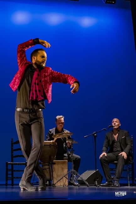 Flamenco Show at La Guarida del Angel with Drink - Price and value: is $26 fair for a flamenco night with a drink?