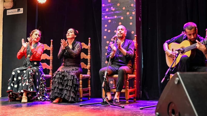 Flamenco Show at La Guarida del Angel with Drink - What happens during the 1-hour flamenco show