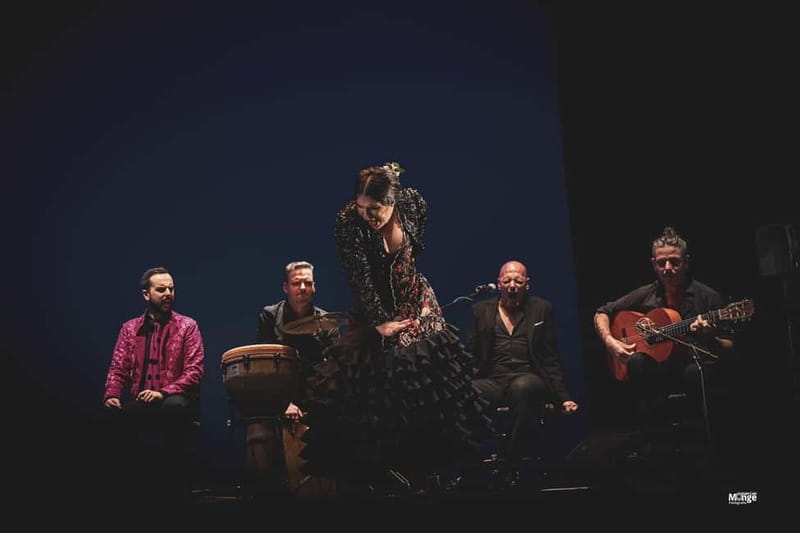Flamenco Show at La Guarida del Angel with Drink - Language support and host help: English, French, Spanish, German