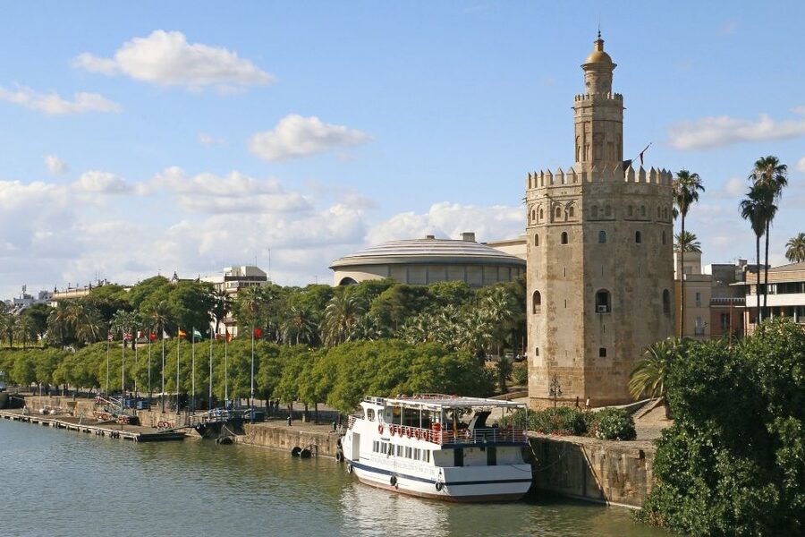 From Cadiz: Private Seville Day Trip, Cathedral & Alcazar - Price of $589 per person: what you’re paying for