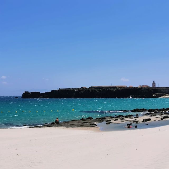 From Cadiz: Tarifa & Roman Ruins - Baelo Claudia Roman Ruins and the Almadraba Story at the Waterline