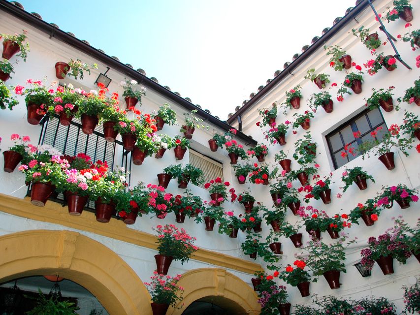 From Costa del Sol: Day Trip to Cordoba Free Time - Why Córdoba feels like a small world of lanes and courtyards