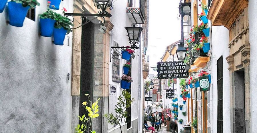 From Costa del Sol: Day Trip to Cordoba Free Time - The coach ride from the Costa del Sol, and why the guide matters