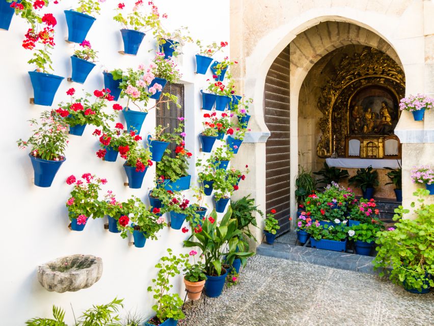 From Costa del Sol: Day Trip to Cordoba Free Time - Calleja del pañuela and Patio de los Naranjos, your photo and mood stops