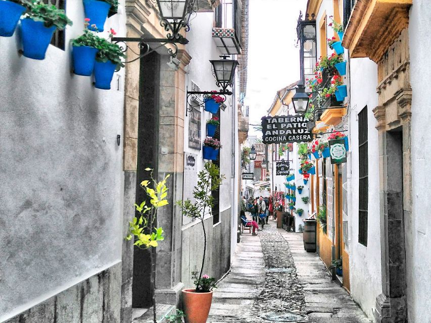 From Costa del Sol: Day Trip to Cordoba Free Time - Price and what you get for your $53