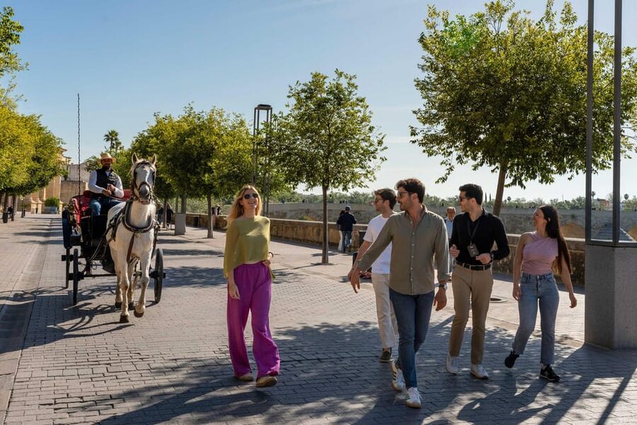 From Madrid: Córdoba Private Day Tour by High-Speed Train - Who This Tour Suits Best (and Who Should Consider Another Plan)
