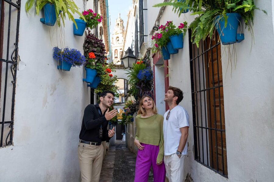 From Madrid: Córdoba Private Day Tour by High-Speed Train - A Fast Madrid to Córdoba Day Trip that Still Feels Like a Visit