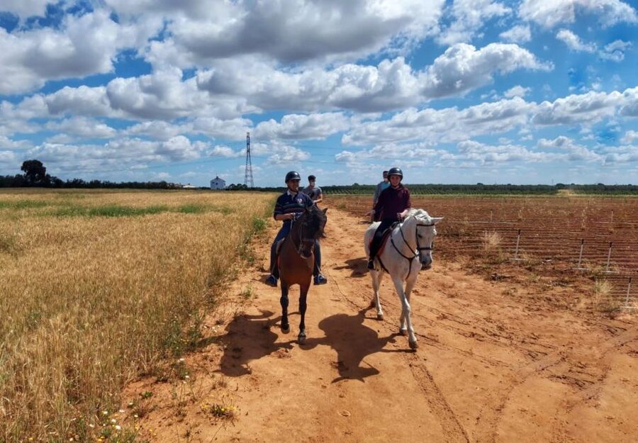 From Seville: Andalusian Horseback Ride - Entering Seville’s Pine-Tree Escape: What Makes This Ride Special