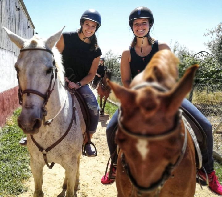 From Seville: Andalusian Horseback Ride - Two Hours on Horseback in Pine Shade Near Doñana: What the Ride Feels Like