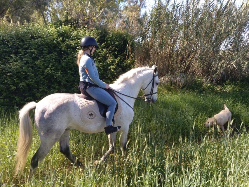 From Seville: Andalusian Horseback Ride - Ranch Time: Family-Run Stables, Horse Care, and Why It Matters