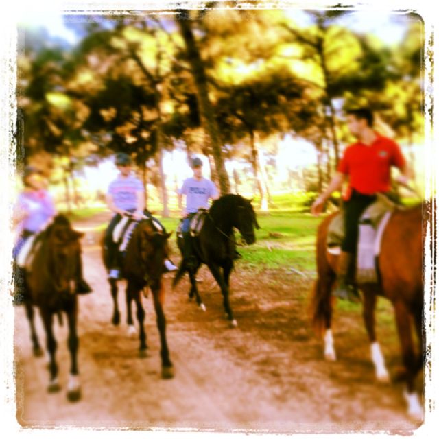 From Seville: Andalusian Horseback Ride - What’s Included, What You Bring, and the Small Comfort Issues to Expect