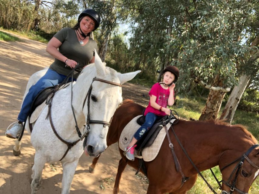 From Seville: Andalusian Horseback Ride - Safety Rules That Actually Affect Who Can Ride